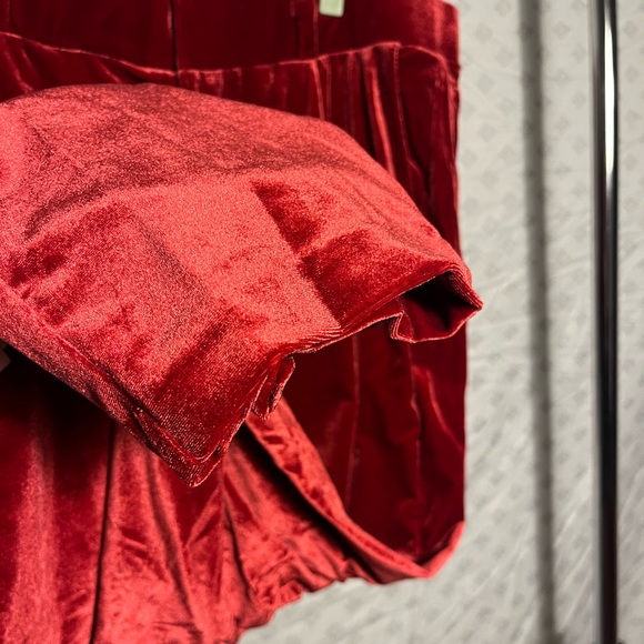 Velvet Red Pants - Picture 4 of 14